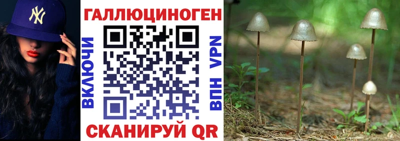 Галлюциногенные грибы Psilocybine cubensis  Ясногорск 